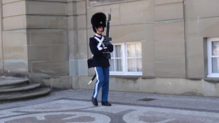 Amalienborg Palace Guard 3